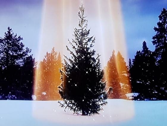Juletrefest